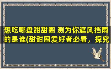 想吃哪盘甜甜圈 测为你遮风挡雨的是谁(甜甜圈爱好者必看，探究你的遮风挡雨之一到底是谁！)